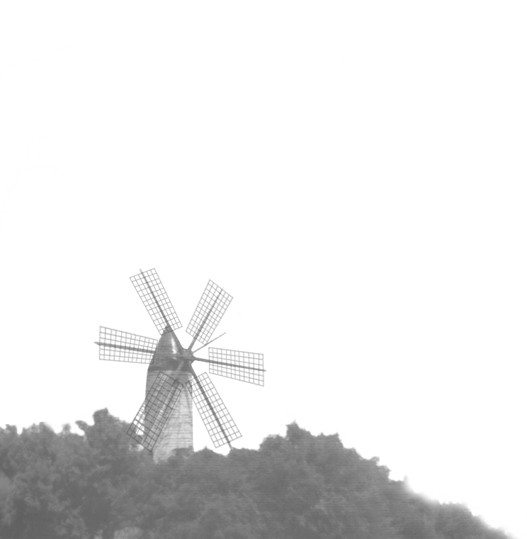 Nuestros molinos