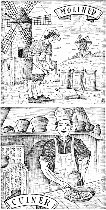 Ilustración: de moliner a cuiner
